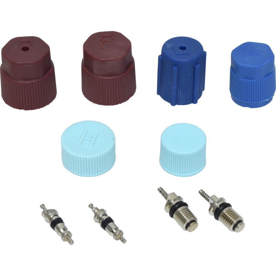 Valve and Cap Kit | Air Components