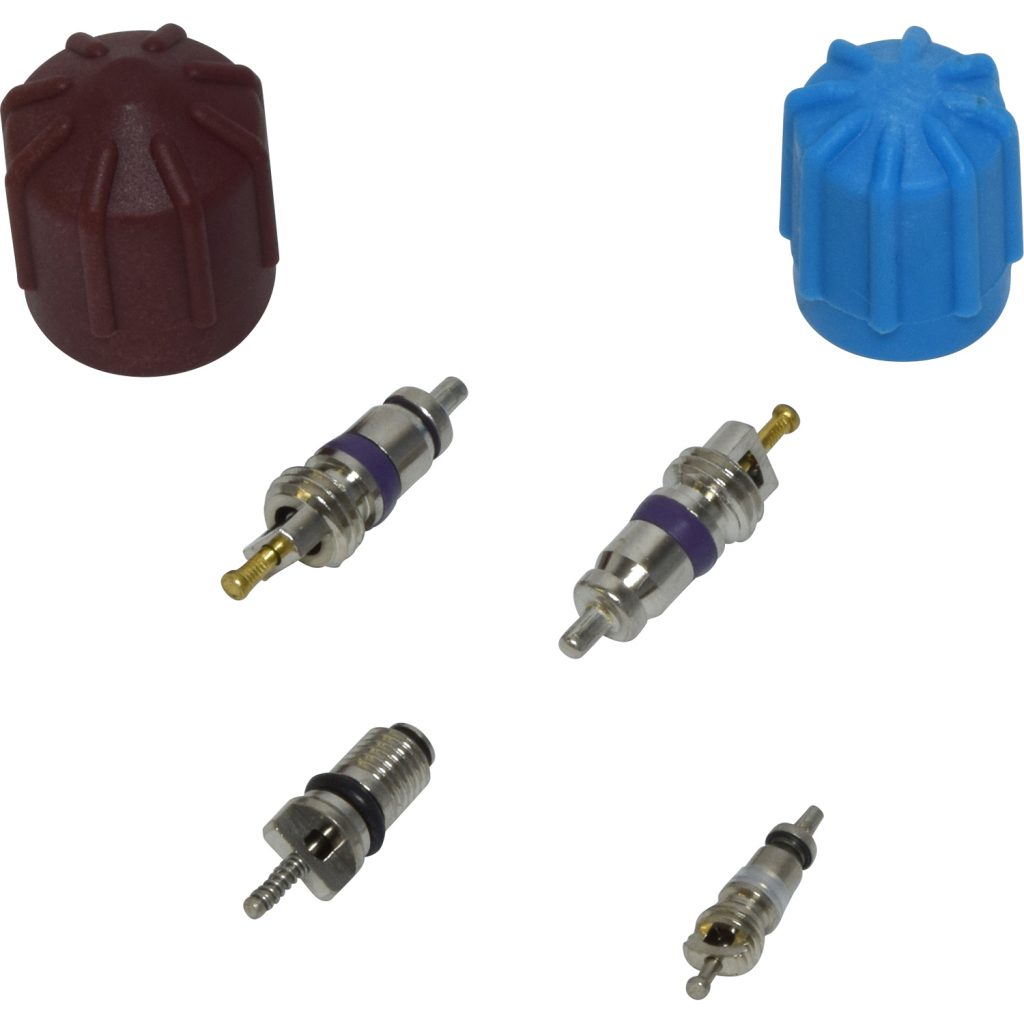 Valve and Cap Kit Air Components