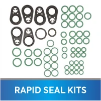 Rapid Seal Kit