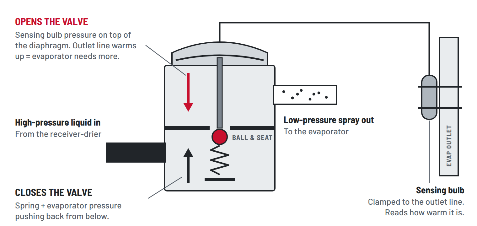 Cutaway schematic of an A/C thermostatic expansion valve. Sensing bulb pressure on top of the diaphragm opens the ball and seat; a spring and evaporator pressure close it. High-pressure liquid enters from the receiver-drier and leaves as a low-pressure spray to the evaporator.